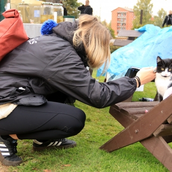 Greizais kompass 2022  - TDA Dancis iegūst 2.vietu (Foto: Santa Paegle)